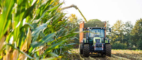 JOSERA Tractor at harvest