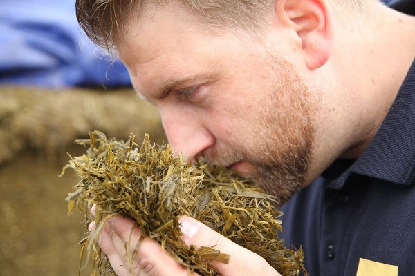 JOSILAC employee, silage test